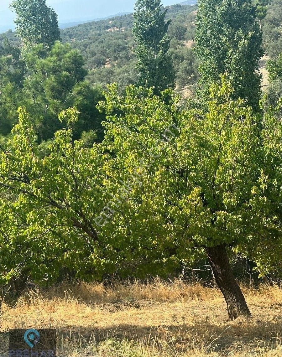 Premar Ayvada'dan Gömeç Hacıhüseyinler Köyünde Bahçe - Görsel 3