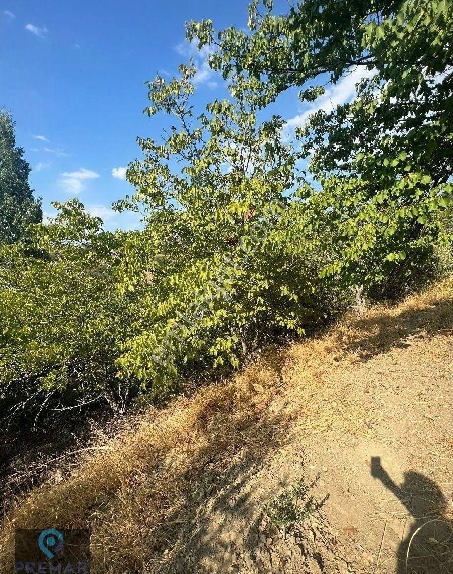 Premar Ayvada'dan Gömeç Hacıhüseyinler Köyünde Bahçe - Görsel 4