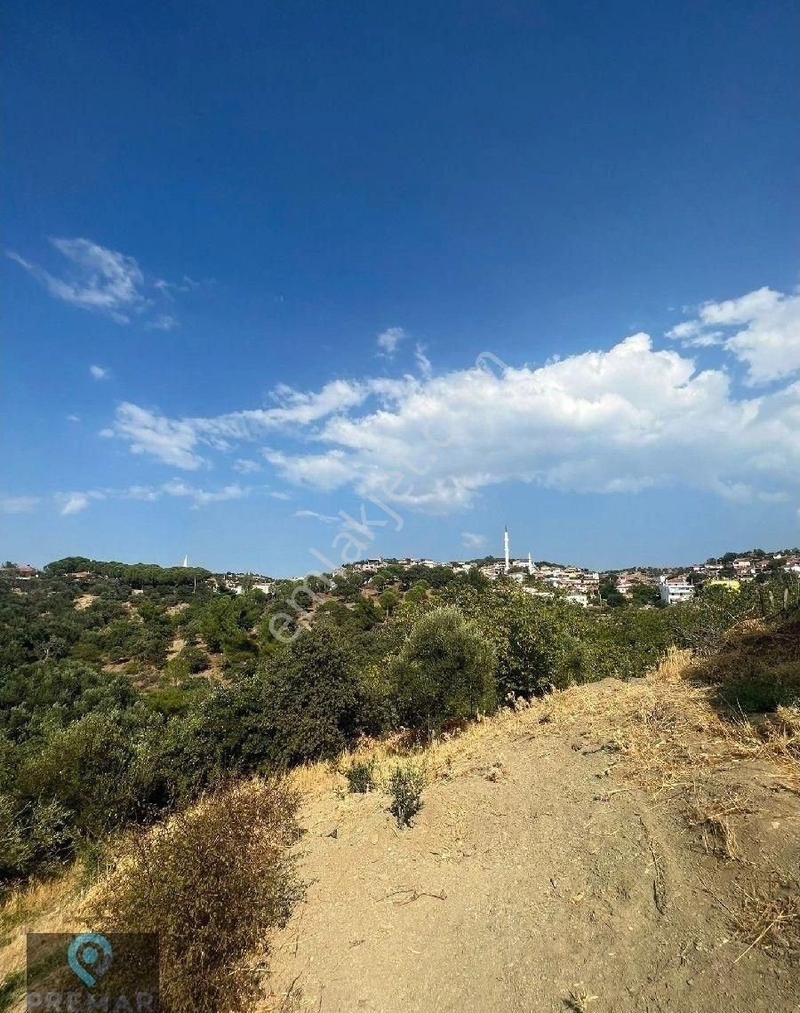 Premar Ayvada'dan Gömeç Hacıhüseyinler Köyünde Bahçe - Görsel 14