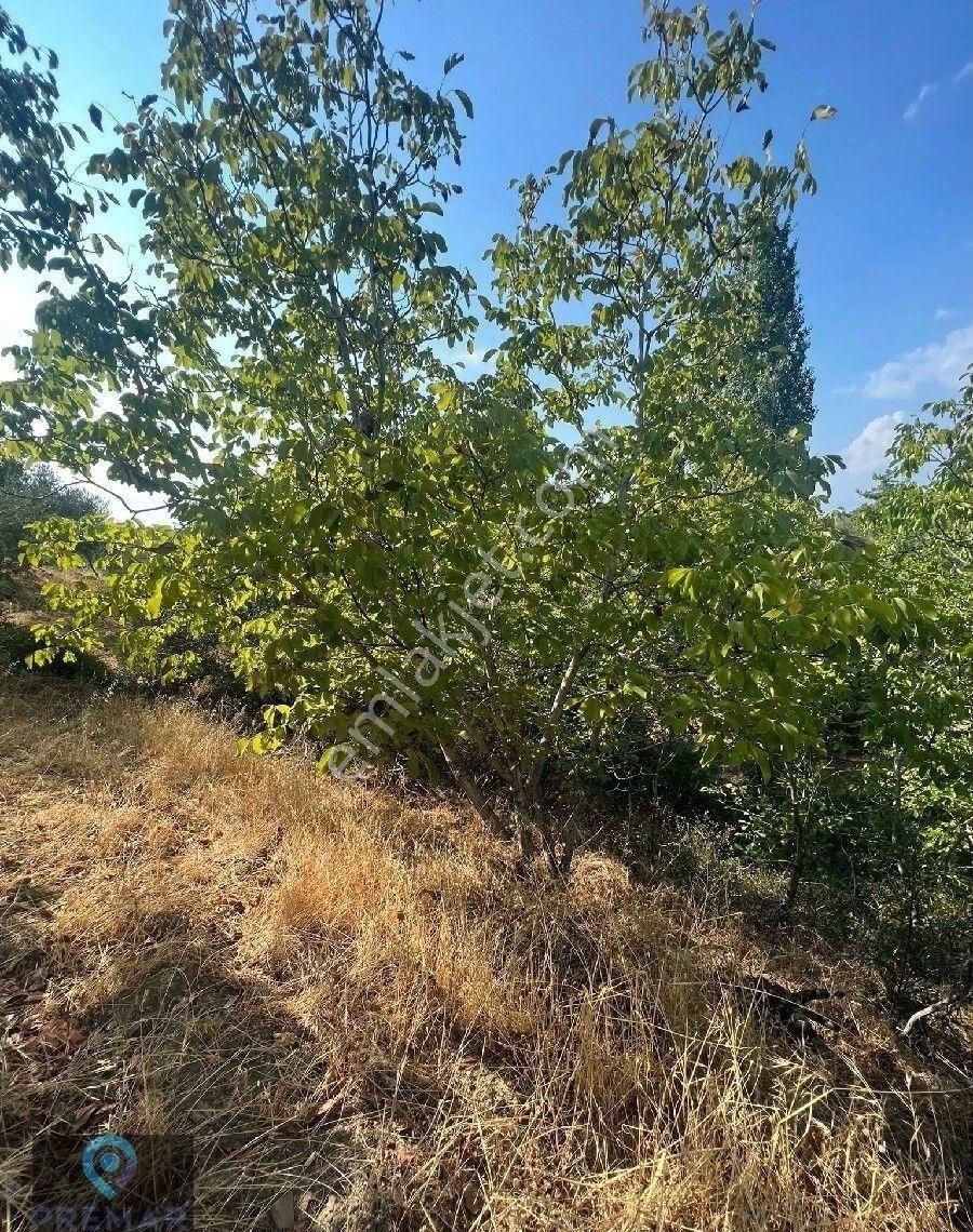 Premar Ayvada'dan Gömeç Hacıhüseyinler Köyünde Bahçe - Görsel 10