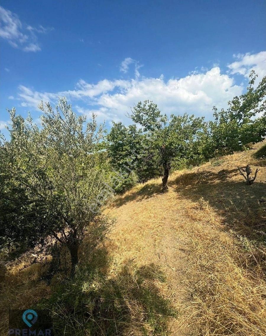 Premar Ayvada'dan Gömeç Hacıhüseyinler Köyünde Bahçe - Görsel 13