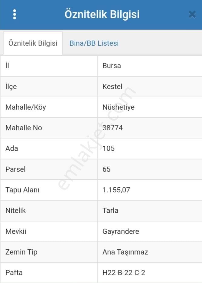 Kestel Nüshetiye'de Dere Kenarı, Yolu Olan, Asfalt Yola Cephe Tarla - Görsel 22