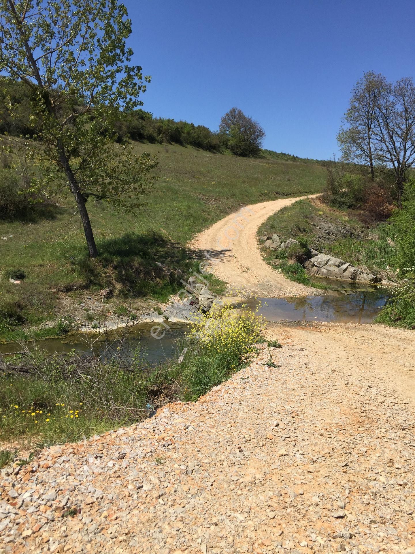Kestel Nüshetiye'de Dere Kenarı, Yolu Olan, Asfalt Yola Cephe Tarla - Görsel 5