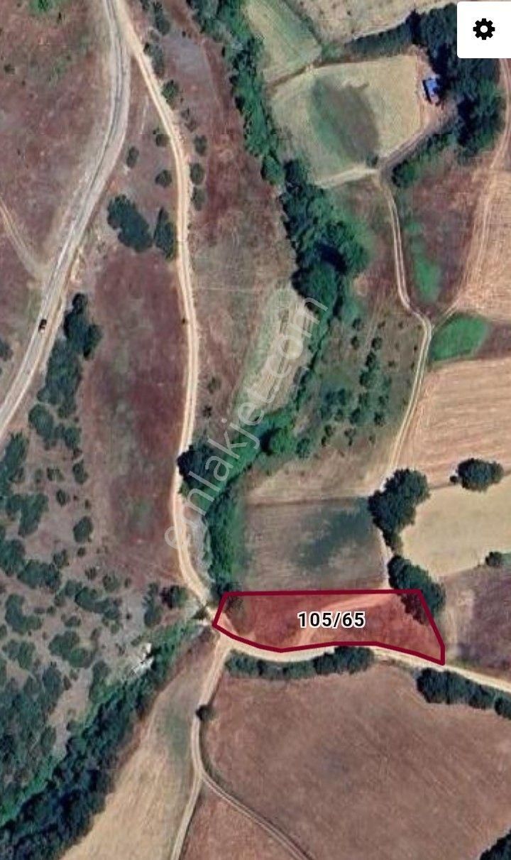 Kestel Nüshetiye'de Dere Kenarı, Yolu Olan, Asfalt Yola Cephe Tarla - Görsel 20