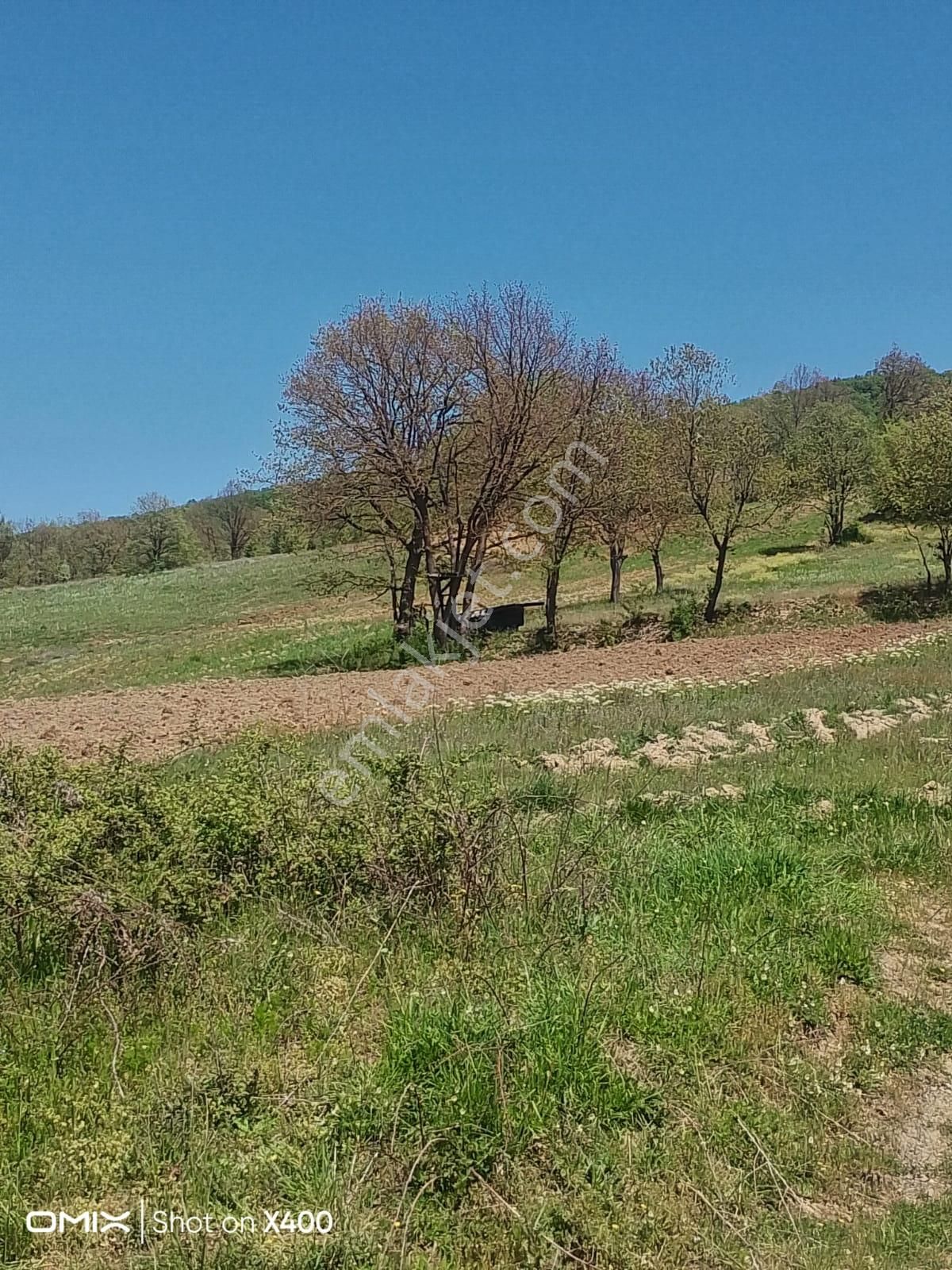 Kestel Nüshetiye'de Dere Kenarı, Yolu Olan, Asfalt Yola Cephe Tarla - Görsel 15