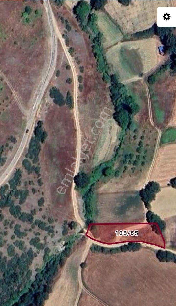 Kestel Nüshetiye'de Dere Kenarı, Yolu Olan, Asfalt Yola Cephe Tarla - Görsel 19