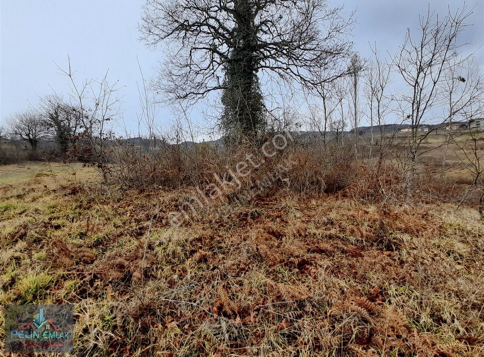 Ereğli Soğanlıyörük Köyü (Çobanlar) Satılık Konut İmarlı Pelin Emlaktan Soğanlı Yörükte Satılık Arsa 3530m2 Kdz Ereğli