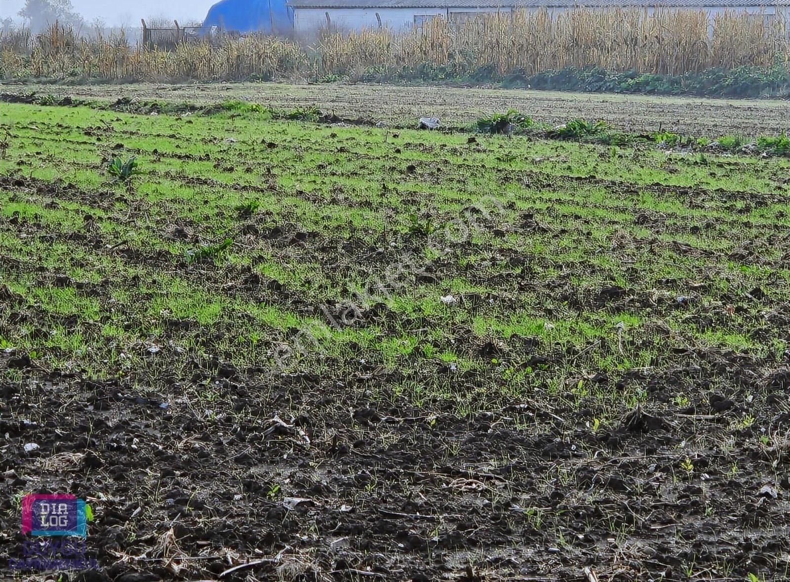 Mustafakemalpaşa Ovaazatlı Satılık Tarla Mustafakemalpaşa Ovaazatlı'da 5688 M2 Köy İçi Satılık Tarla