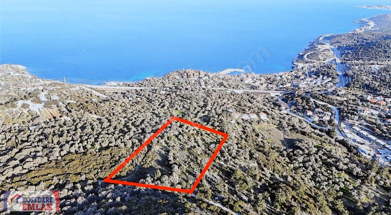 Karaburun İnecik Satılık Tarla Kösedere Emlak'tan Kaynarpınar Üzerinde Deniz Manzaralı Tarla