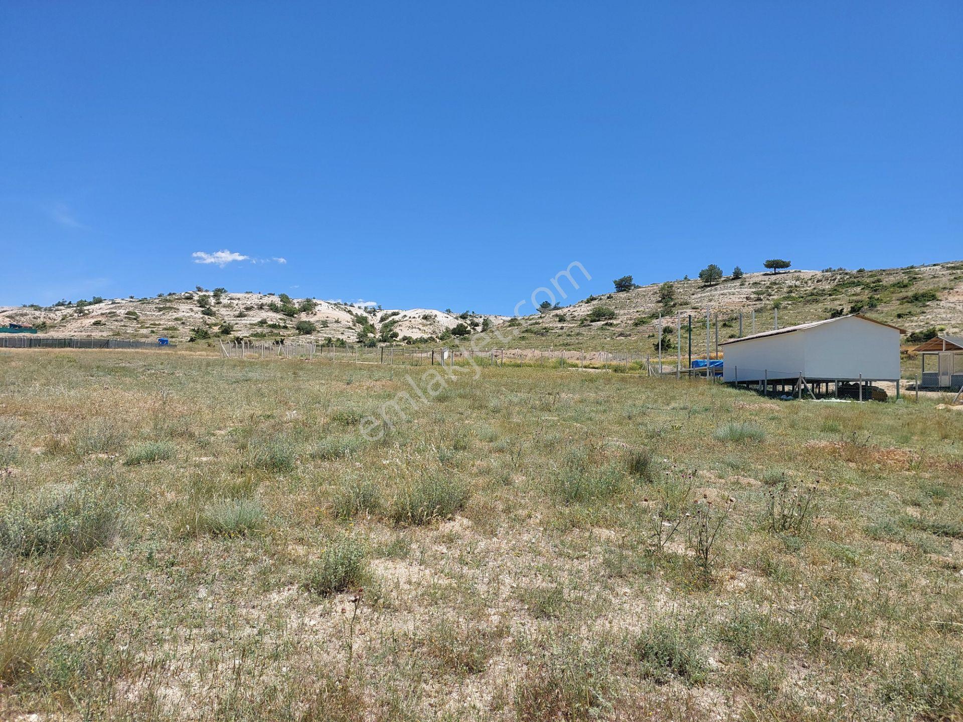 Eskişehir Alpu Söğütçük,de Acil Satılık İmarlı 450m2 Arsa - Görsel 28