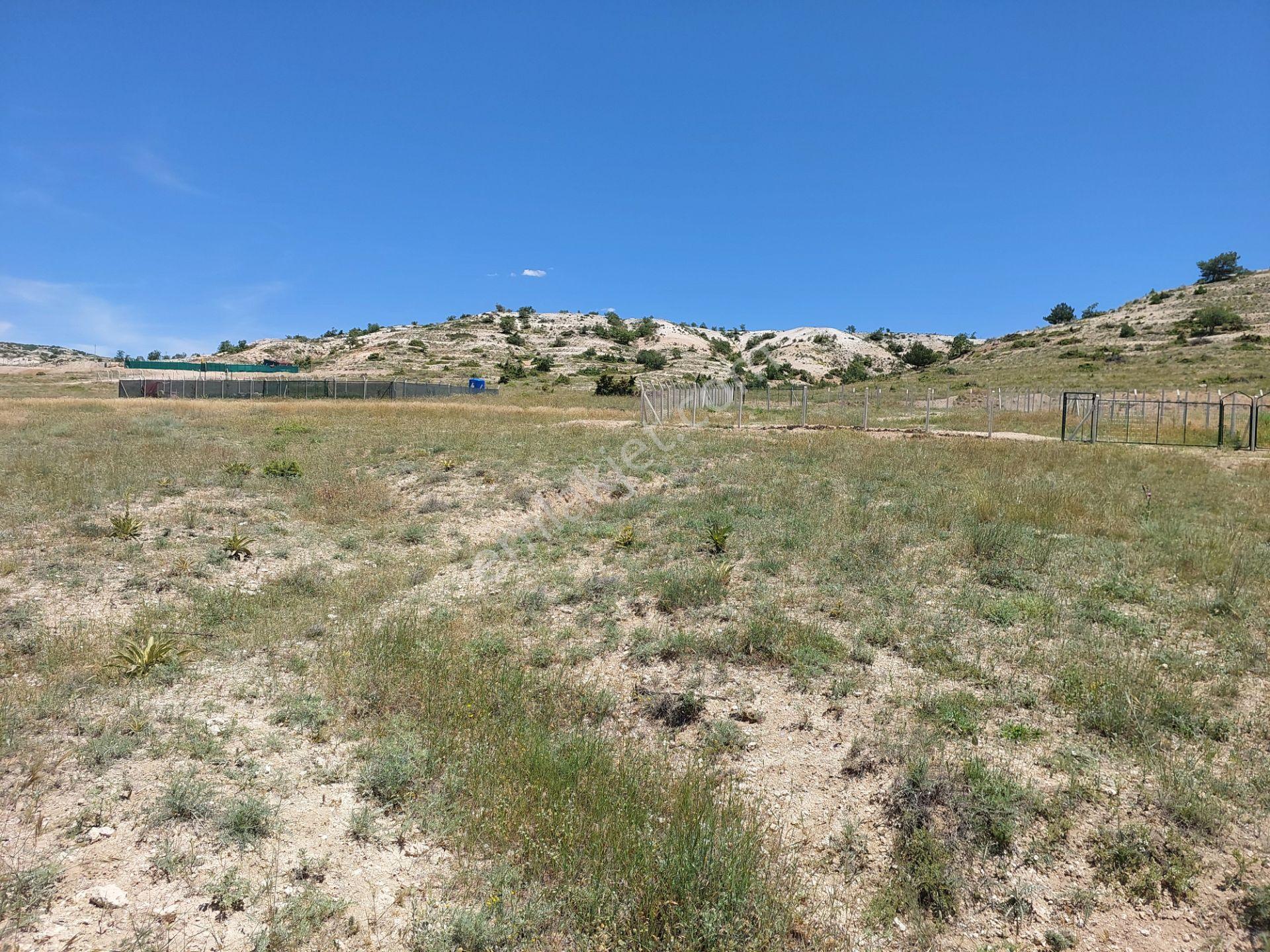 Eskişehir Alpu Söğütçük,de Acil Satılık İmarlı 450m2 Arsa - Görsel 19