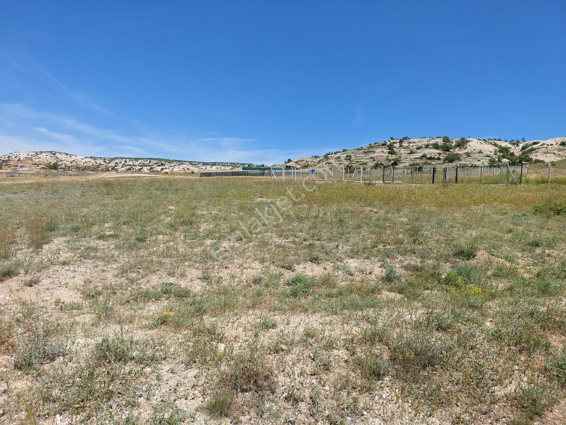 Eskişehir Alpu Söğütçük,de Acil Satılık İmarlı 450m2 Arsa - Görsel 9