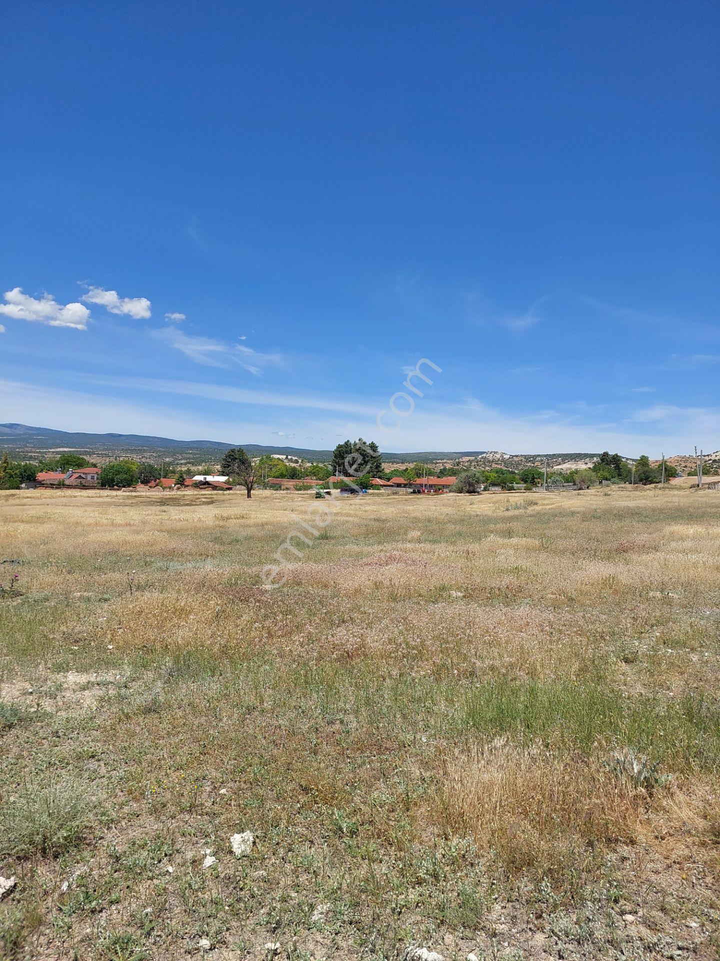 Eskişehir Alpu Söğütçük,de Acil Satılık İmarlı 450m2 Arsa - Görsel 21