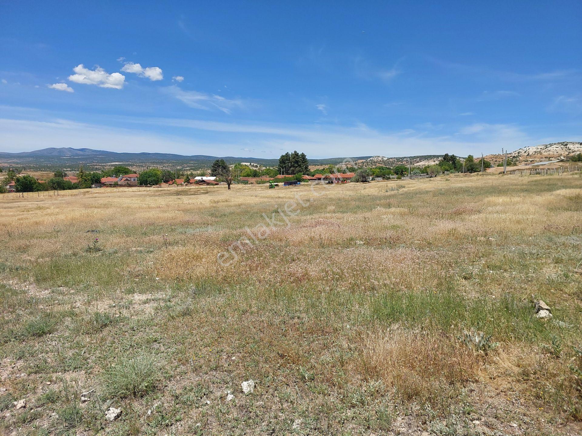 Eskişehir Alpu Söğütçük,de Acil Satılık İmarlı 450m2 Arsa - Görsel 16