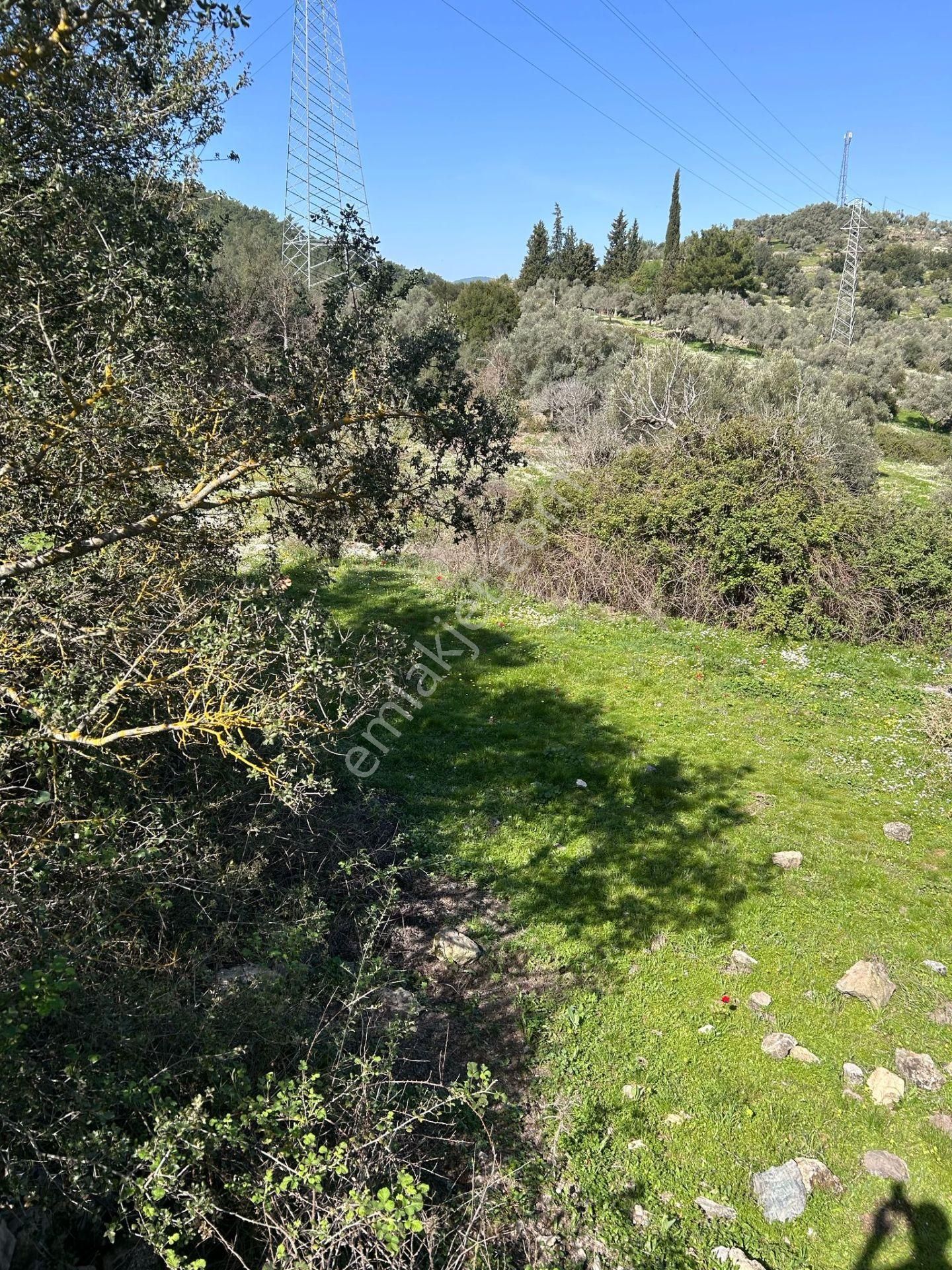 Bodrum Yenıkoy Karaova Satılık Bahce - Görsel 7
