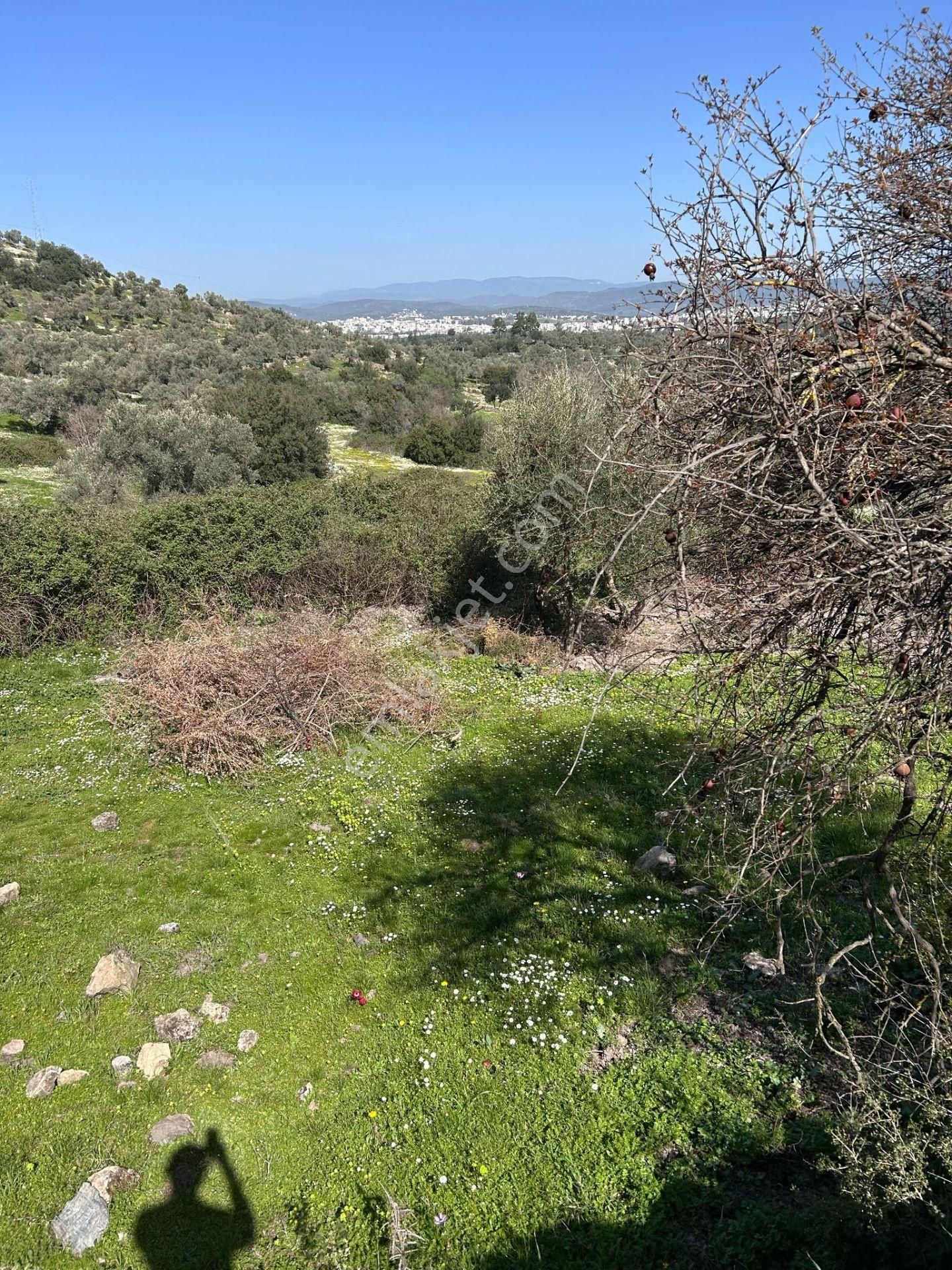 Bodrum Yenıkoy Karaova Satılık Bahce - Görsel 11