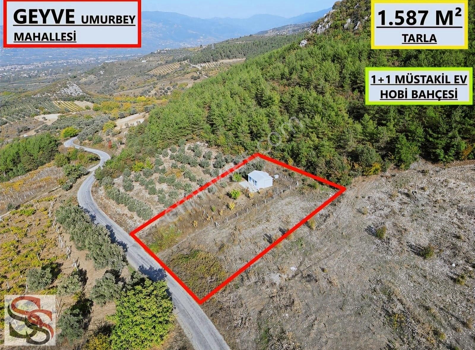 Geyve Umurbey Satılık Tarla Geyve Umurbey 1.587 M² Tarla İçerisinde 50 M² 1+1 Müstakil Ev