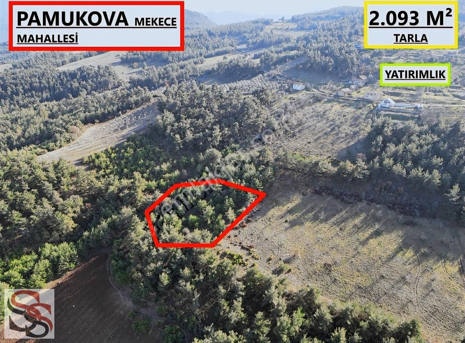 Pamukova Mekece Satılık Tarla Pamukova Mekece Mahallesi Yatırımlık Hesaplı 2.093 M² Tarla