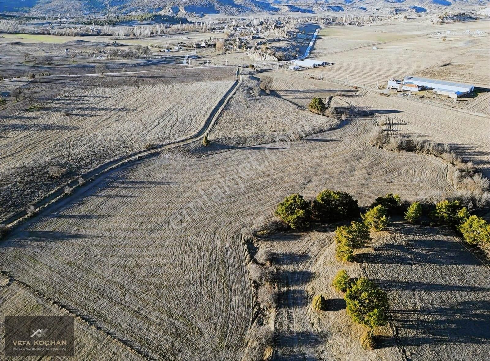 Odunpazarı Yenisofça Satılık Tarla V.koçhan'dan Yenisofça Da Müstakil Tapulu 16.437m2 Tarla