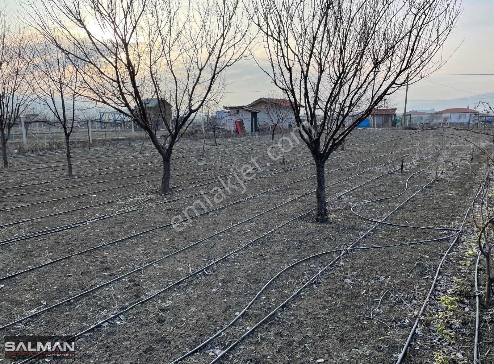 Salman'dan Çorum Merkeze 15 Km Uzaklıkta Satılık Hobi Bahçesi