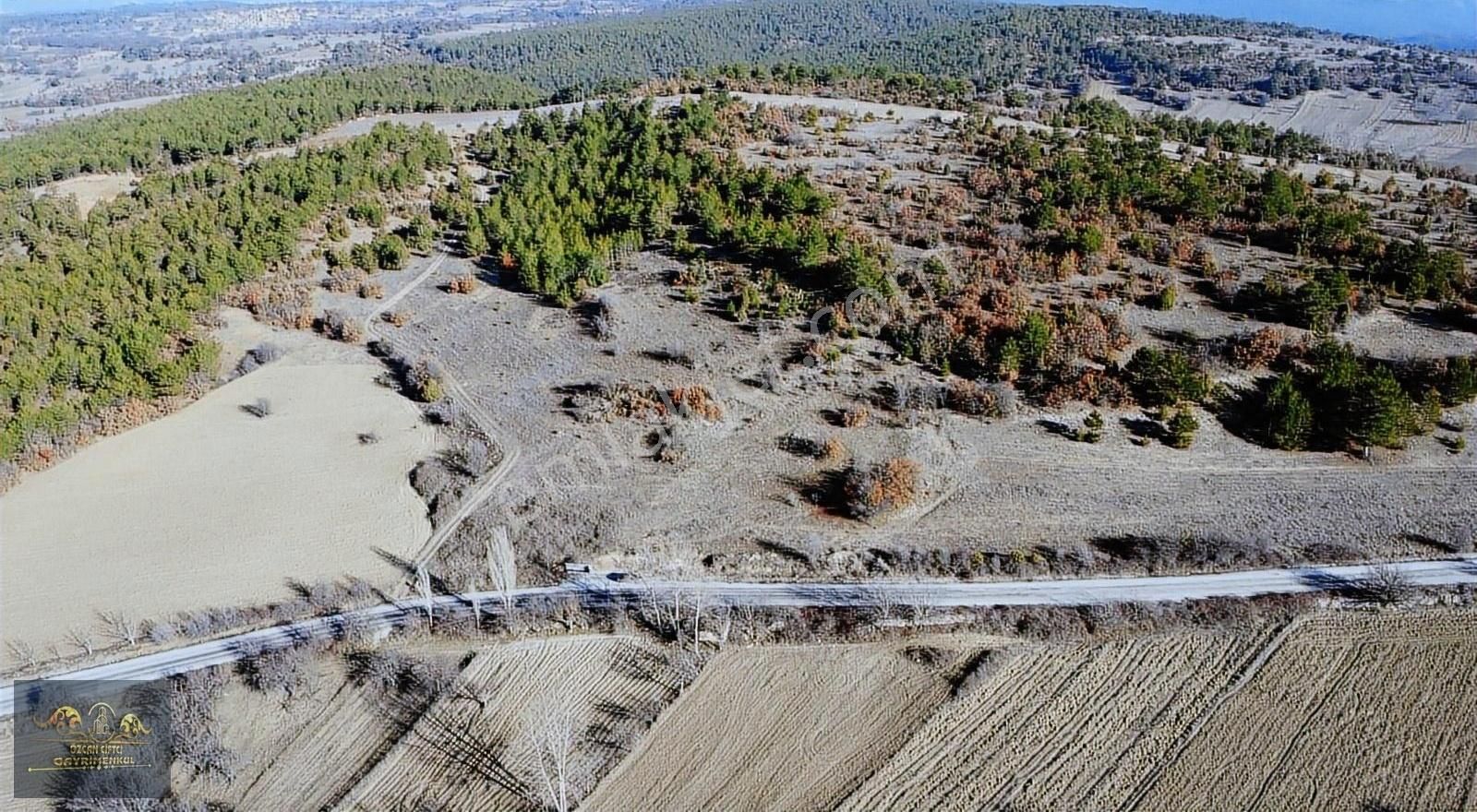 Harmancık Gülözü Satılık Tarla Asfalta 75 Metre, Dağ Manzaralı 8,325 M2,suyu Olan Fırsat Tarla.