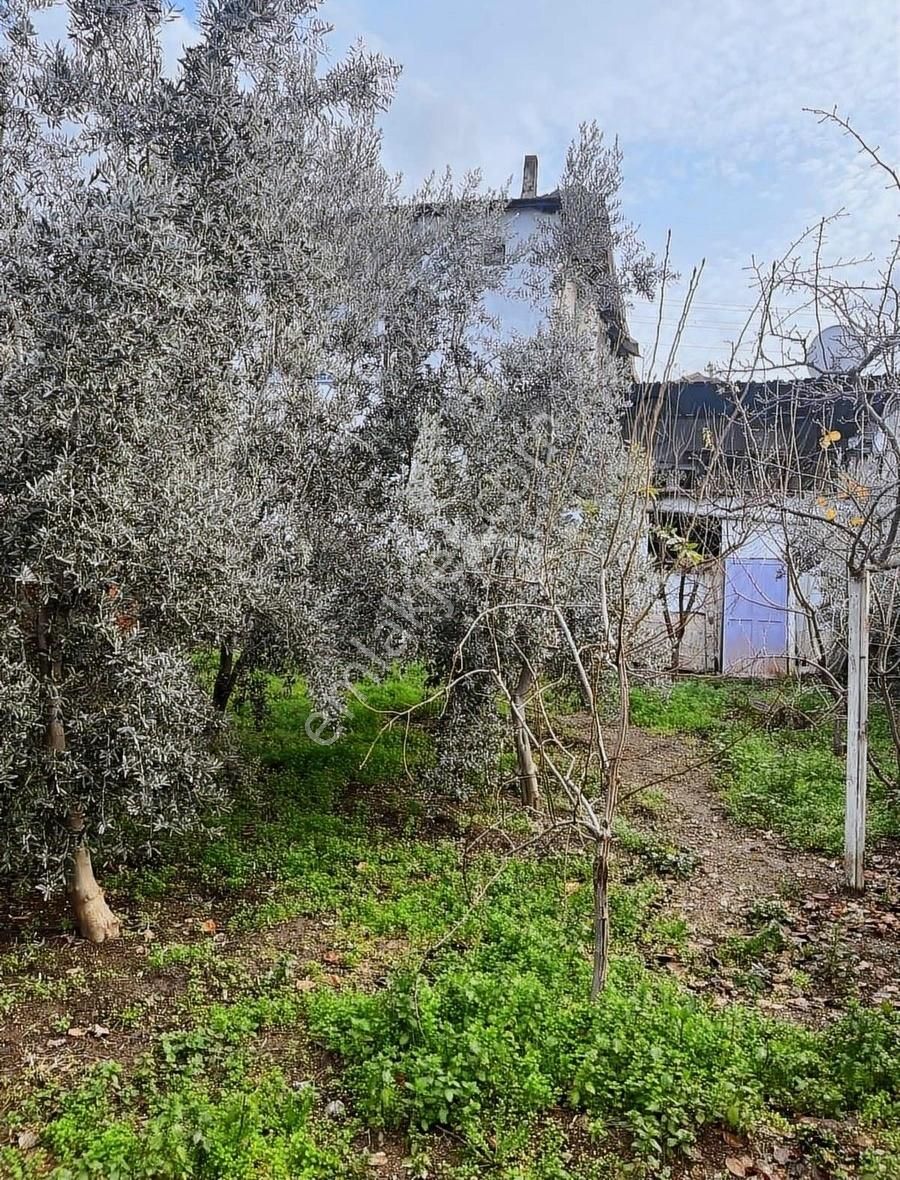 Kemalpaşa Sarılar Köyünde Müstakil Bahçeli Ev - Görsel 10