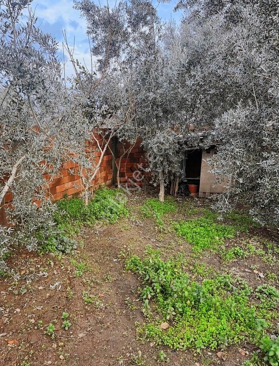 Kemalpaşa Sarılar Köyünde Müstakil Bahçeli Ev - Görsel 2