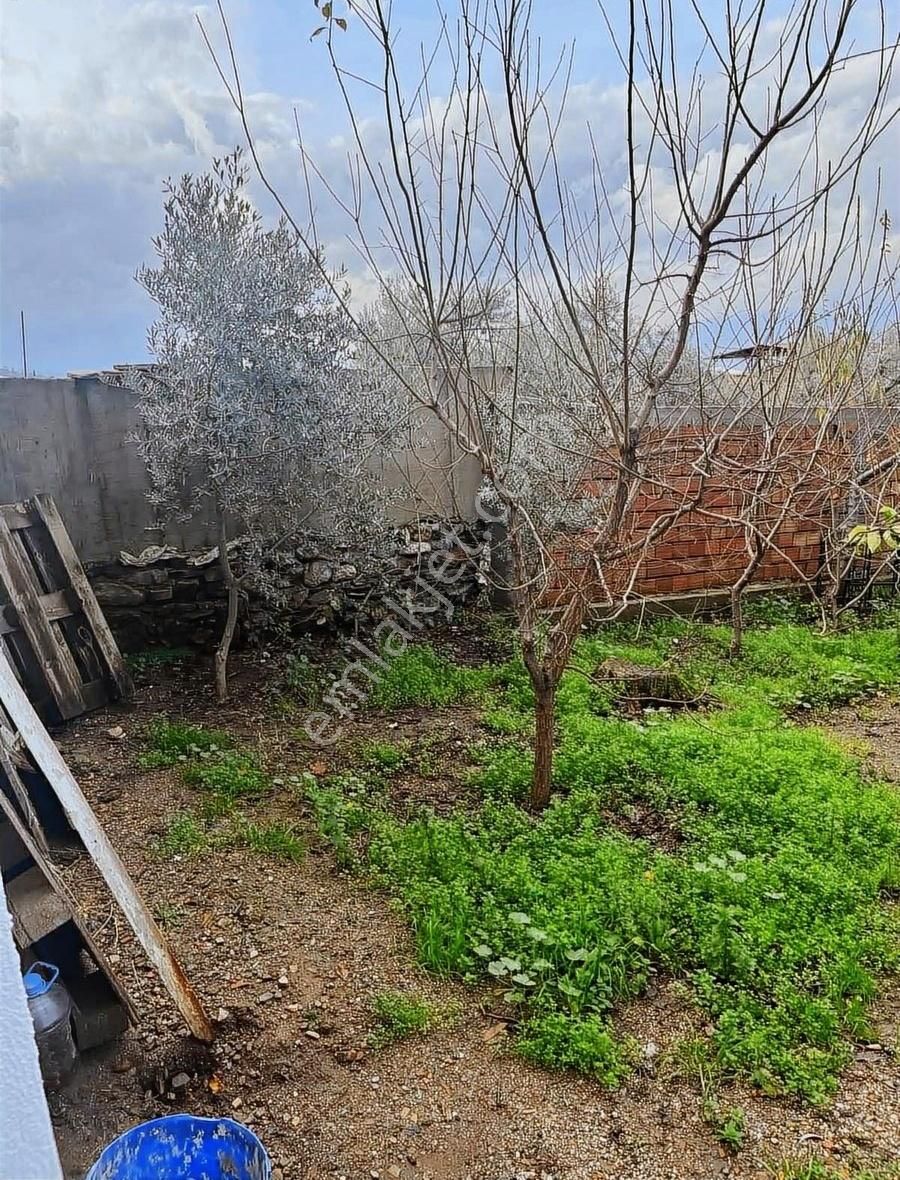 Kemalpaşa Sarılar Köyünde Müstakil Bahçeli Ev - Görsel 13