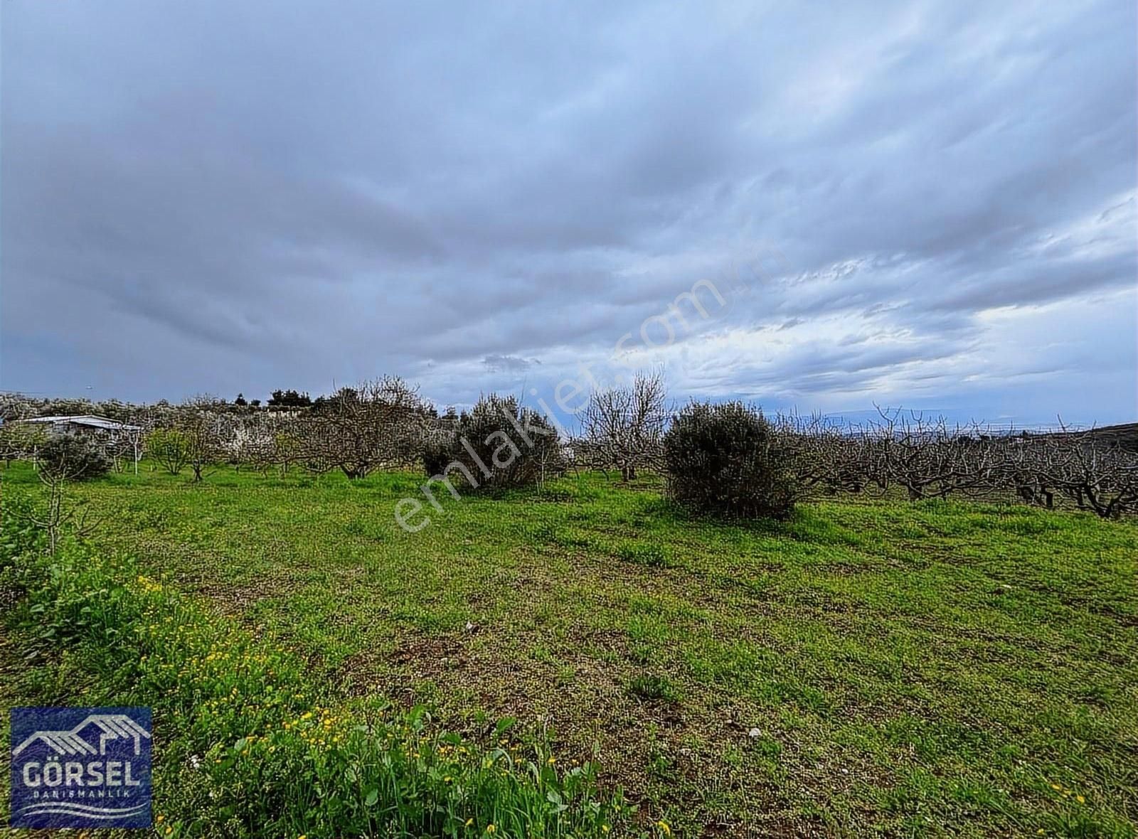 Osmangazi Gündoğdu Satılık Tarla Görsel'den Gündoğdu Köy Civarı 530 M2 İmara Yakın Hobi Bahçesi