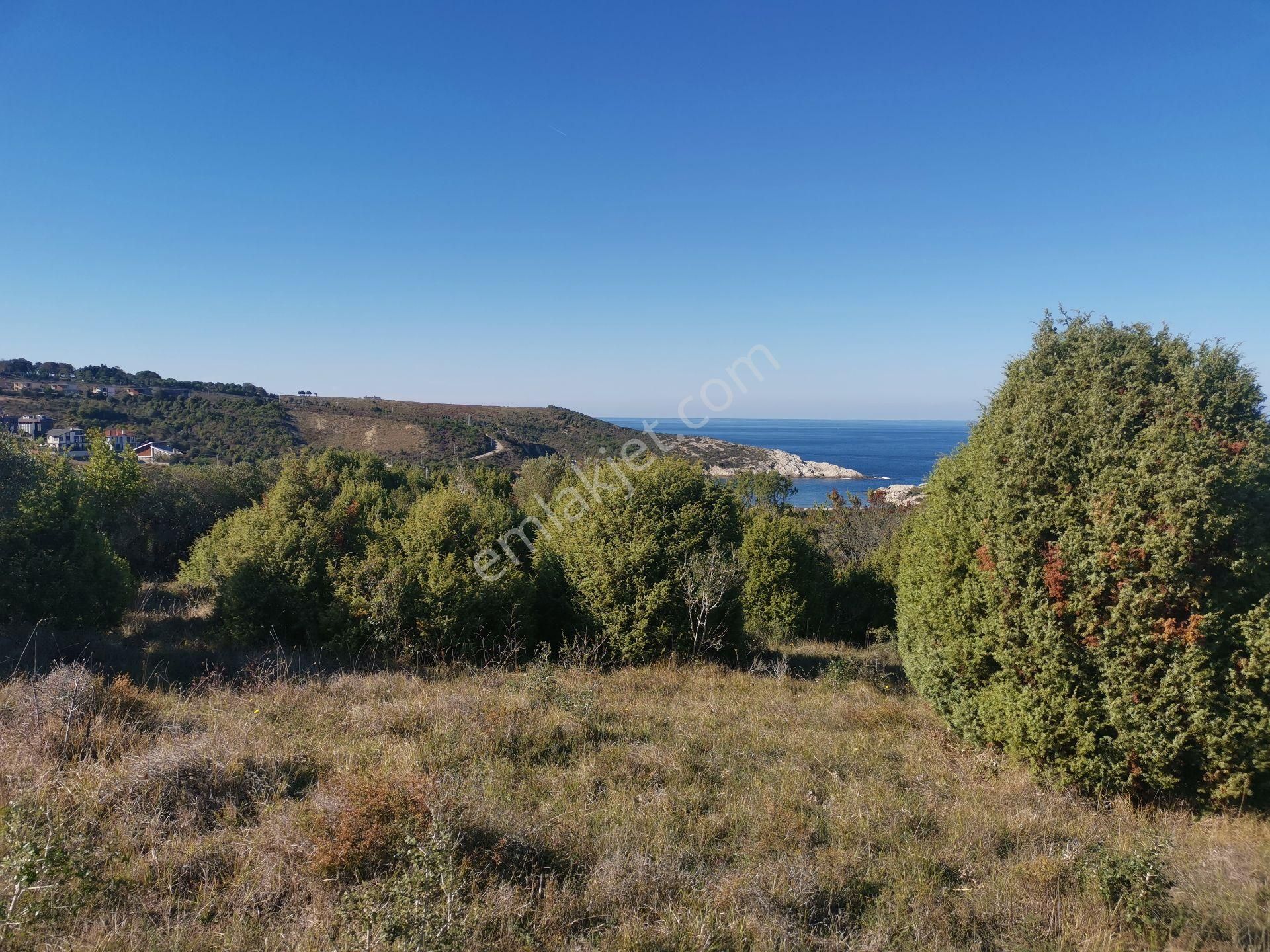 Şile Bozgoca Satılık Tarla Plaja 400 Metre Mesafede Satılık Tarla