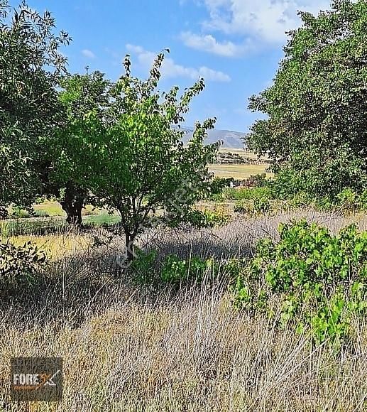 İncesu Süksün Cumhuriyet Satılık Bağ & Bahçe Konut İmarlı 1800 M2 Bağ