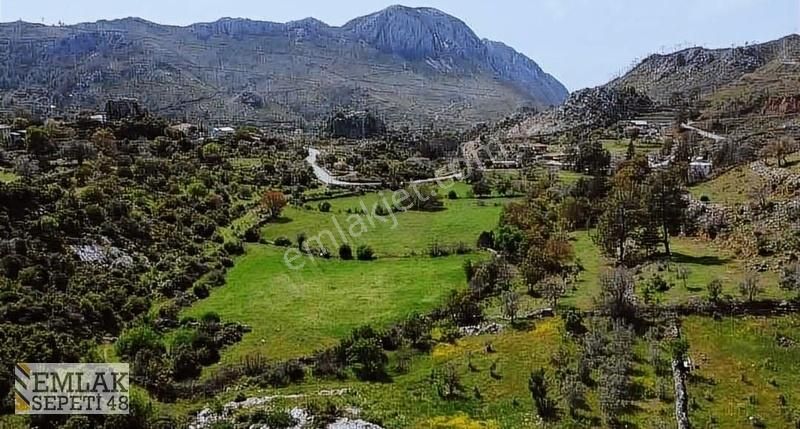 Satılık Ekolejik Tarım & Marjinal Trım Arazisi - Görsel 2
