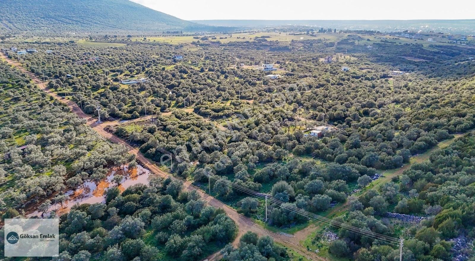 Didim Akyeniköy'de Satılık 300 M² Müstakil Villa Arsası - Görsel 3