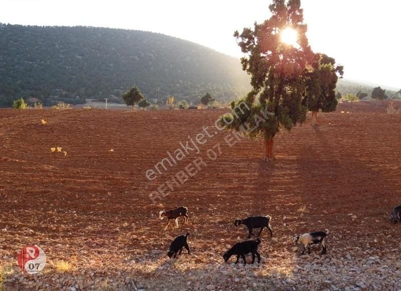 Antalya Korkuteli Beğiş Susuz'unda Satılık 3.545m2 Tarla - Görsel 30