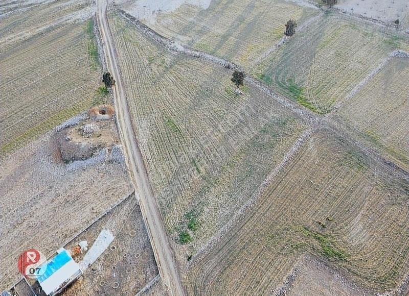 Antalya Korkuteli Beğiş Susuz'unda Satılık 3.545m2 Tarla - Görsel 6