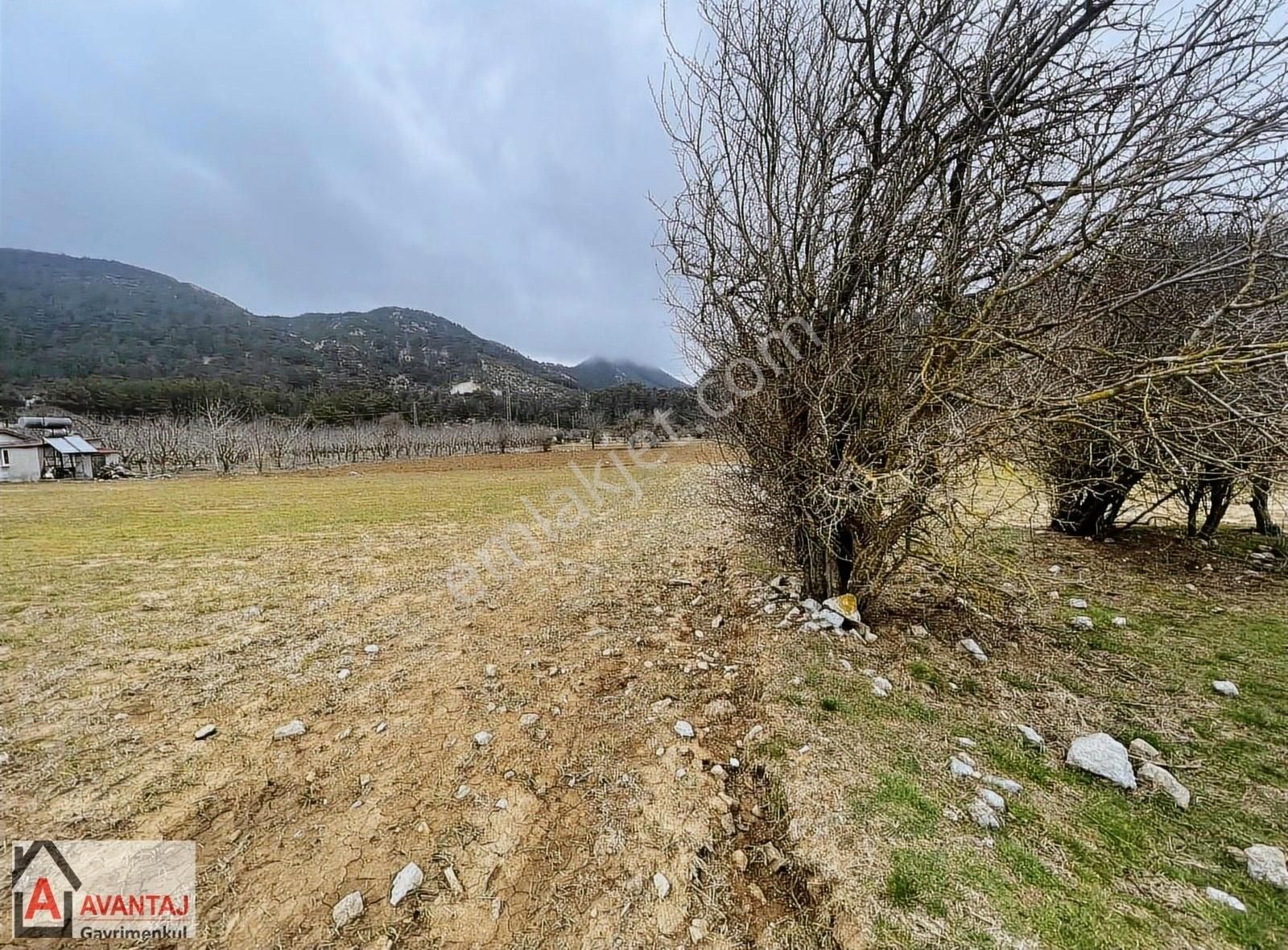 Fethiye Nif Mahallesi Gedre Mevkiinde Satılık Tarla ! - Görsel 2