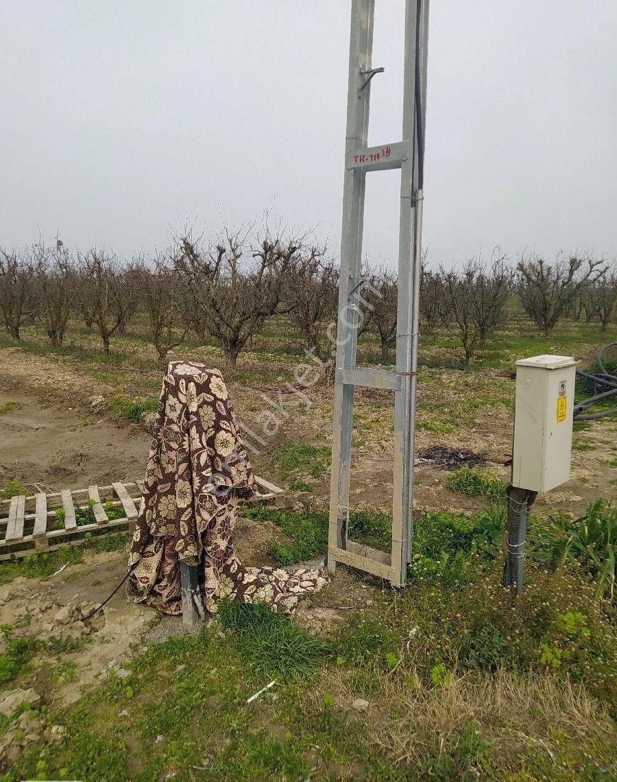 Turgutlu Mustafa Kemal Satılık Tarla Manisa Turgutlu 9.mıntıkada 2875m2 Elektrikli Sulu Arazi