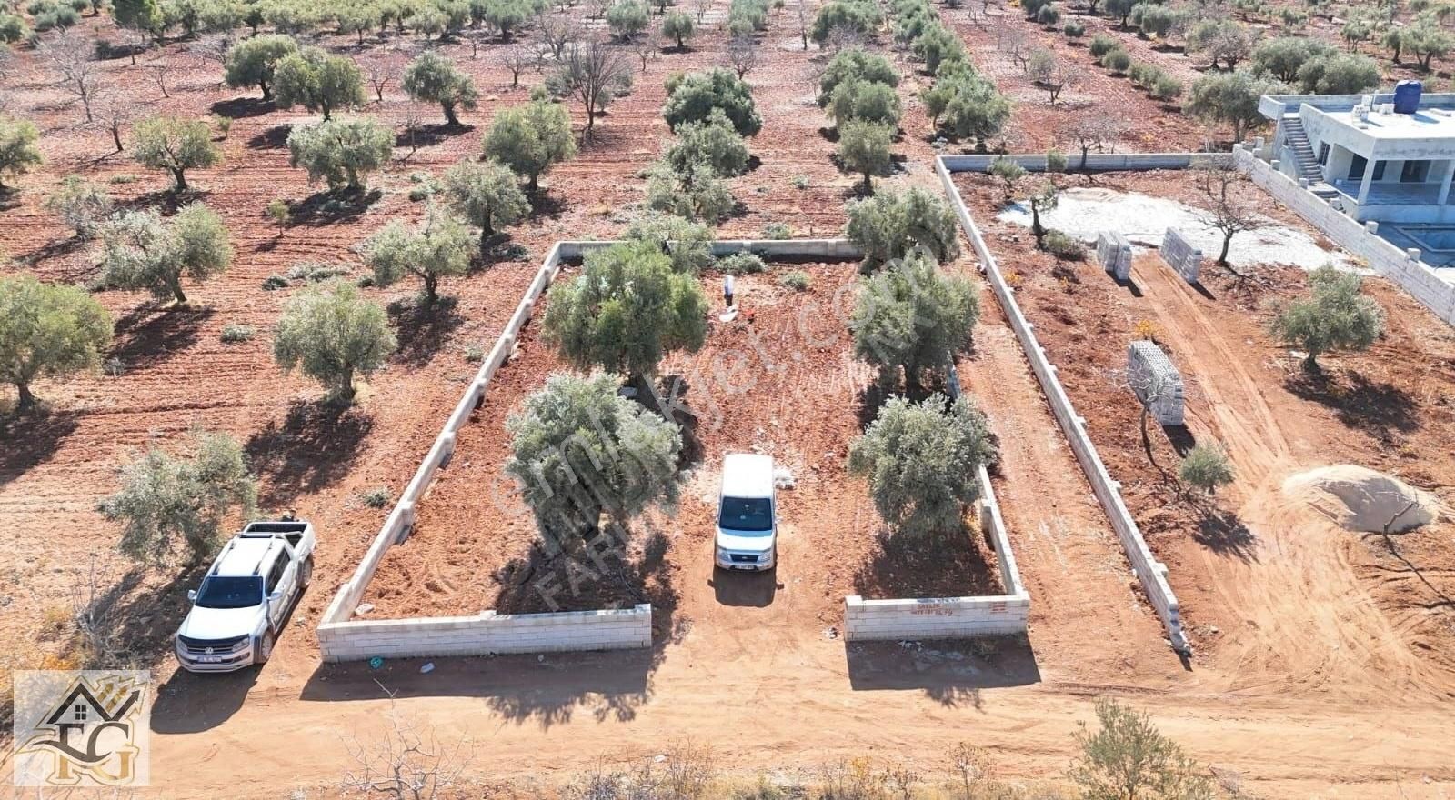 Oğuzeli Subaşı Satılık Bağ & Bahçe Oğuzeli Bağevlik Arazi