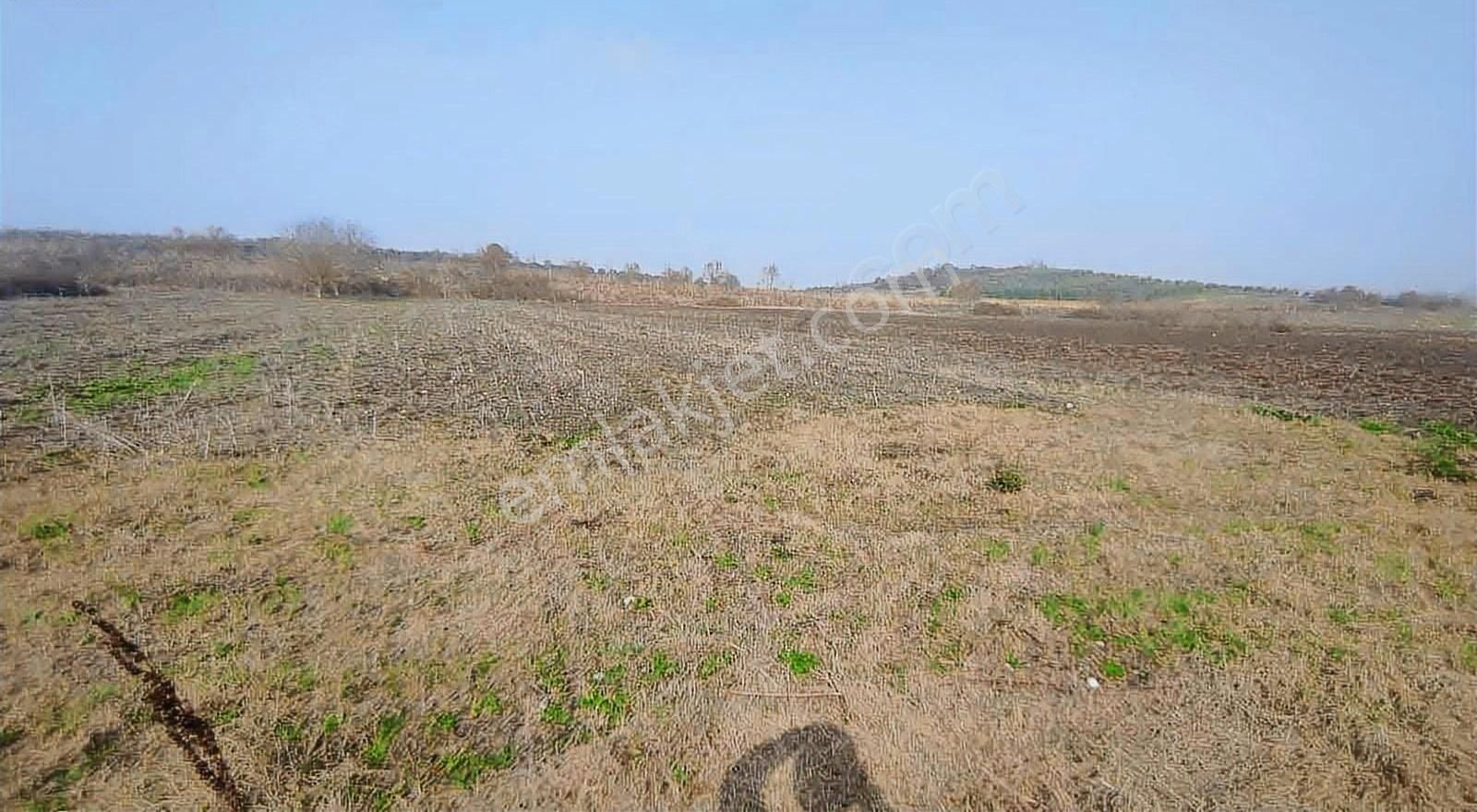 Mustafakemalpaşa Demireli Satılık Tarla Mustafakemalpaşa Demireli Köyü Satılık 3.831 M2 Tek Tapulu Tarla