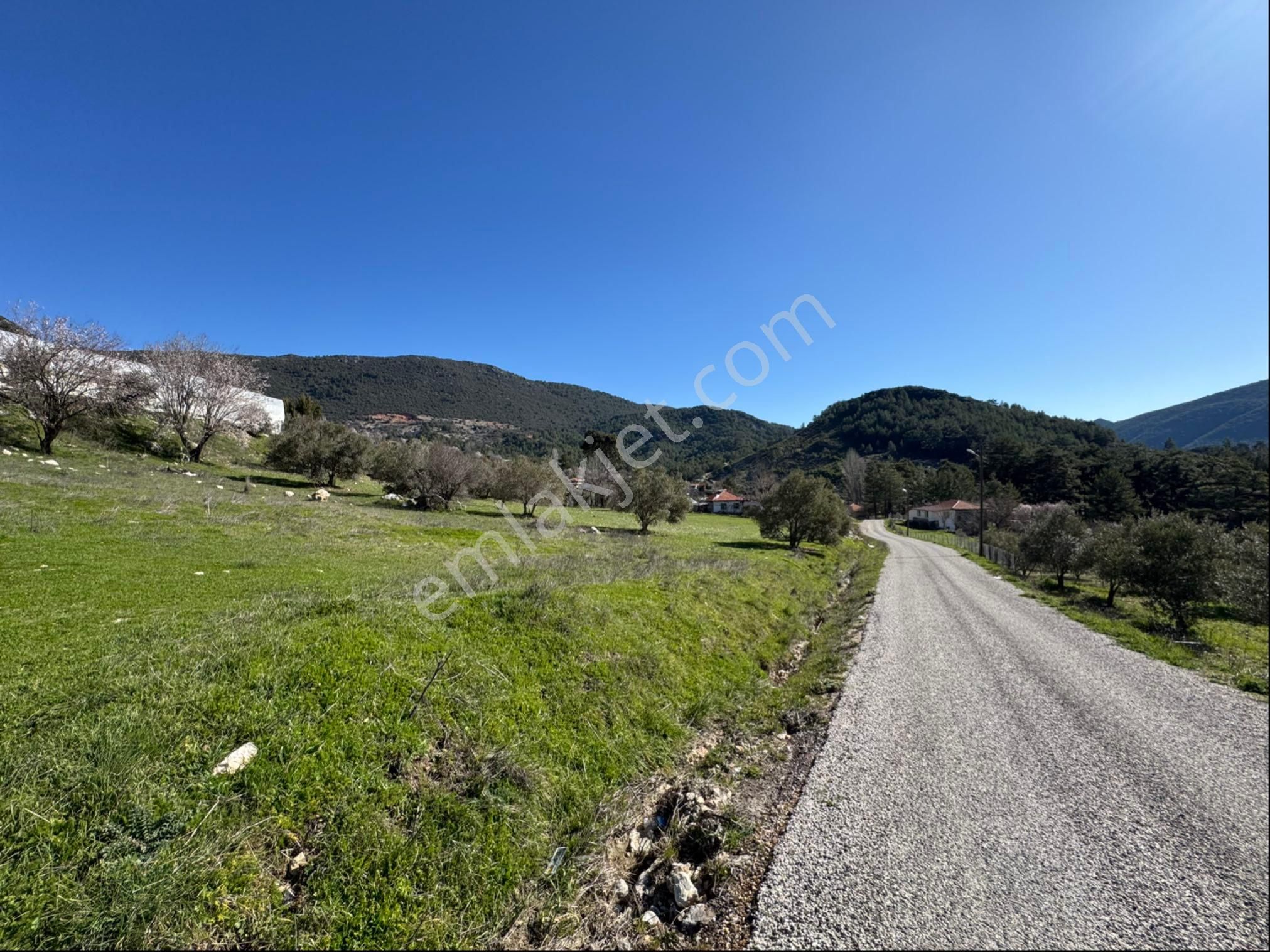 Kaş Hacıoğlan Satılık Tarla Kaş Hacıoğlan Köyünde Yola Cepheli 881 M2 Özel Satılık Arsa