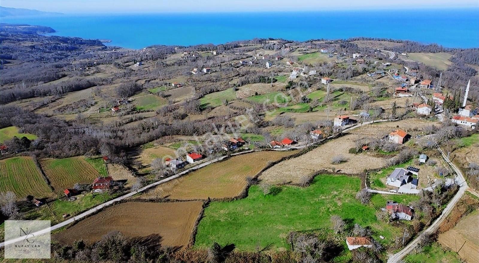 Erfelek Karacaköy Köyü (Tavşan) Satılık Konut İmarlı Lebiderye Deniz Manzaralı Tarla!!!