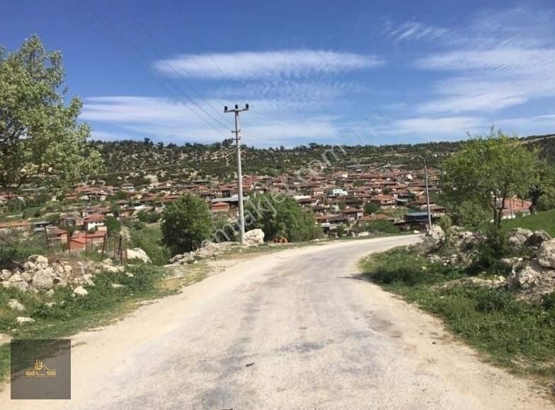 Türkeli Kuşçular Köyü (Merkez) Satılık Bağ & Bahçe Türkeli Kuşcular'da Denize Yakın Elk-yol-su Sorunsuz Fındık Bhçe