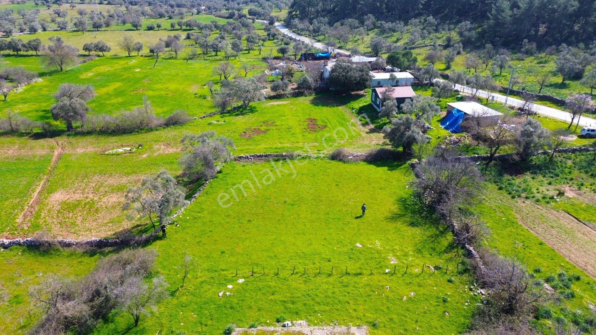 Milas Kızılağaç'ta Satılık 1132 M² Konut İmarlı Arsa - Görsel 12