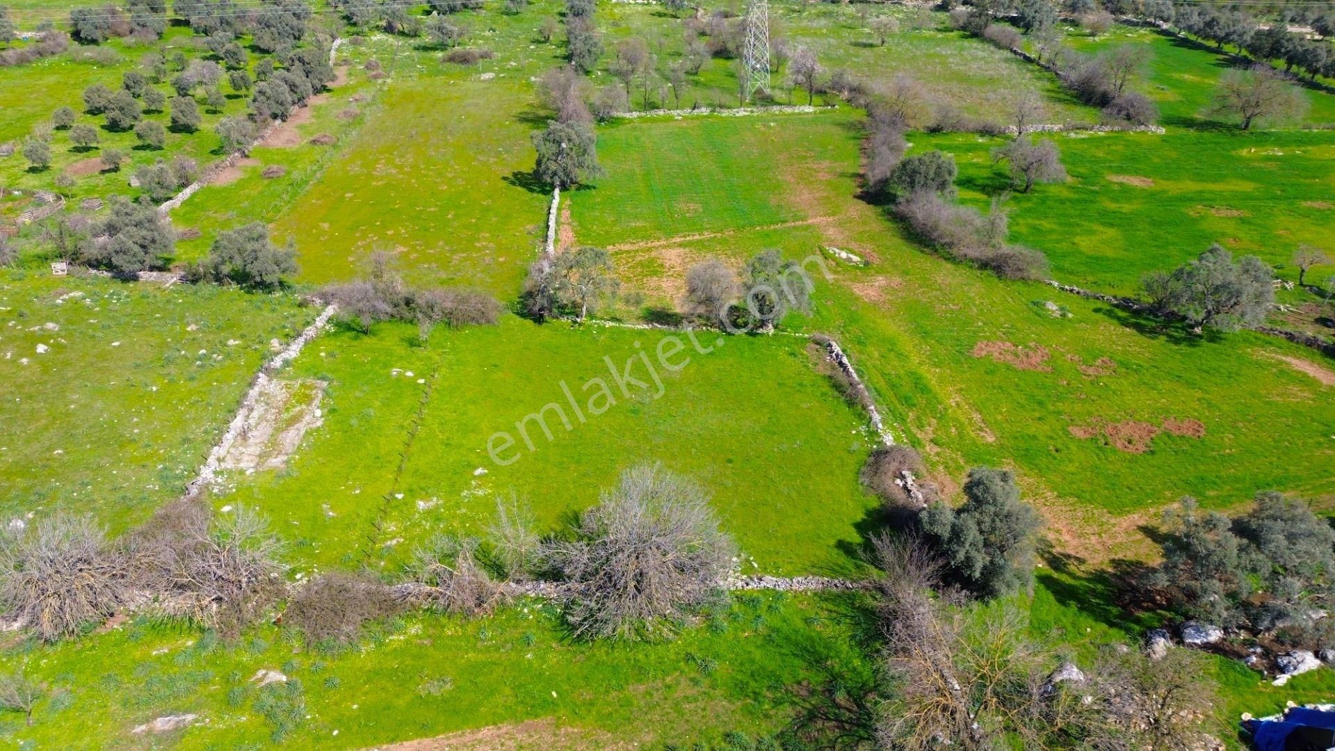 Milas Kızılağaç'ta Satılık 1132 M² Konut İmarlı Arsa - Görsel 4