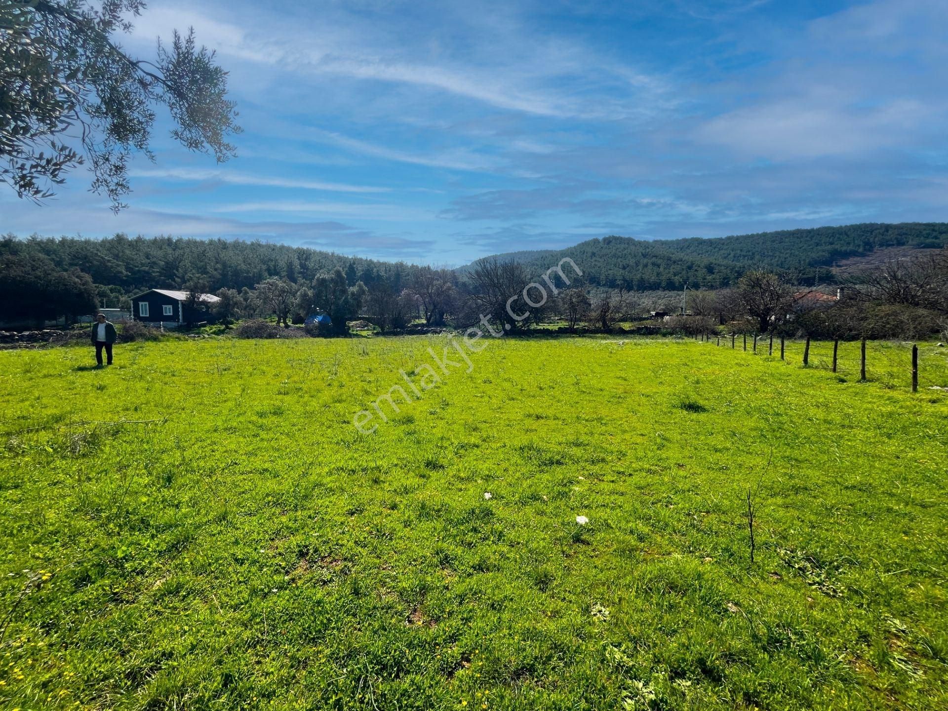 Milas Kızılağaç'ta Satılık 1132 M² Konut İmarlı Arsa - Görsel 18