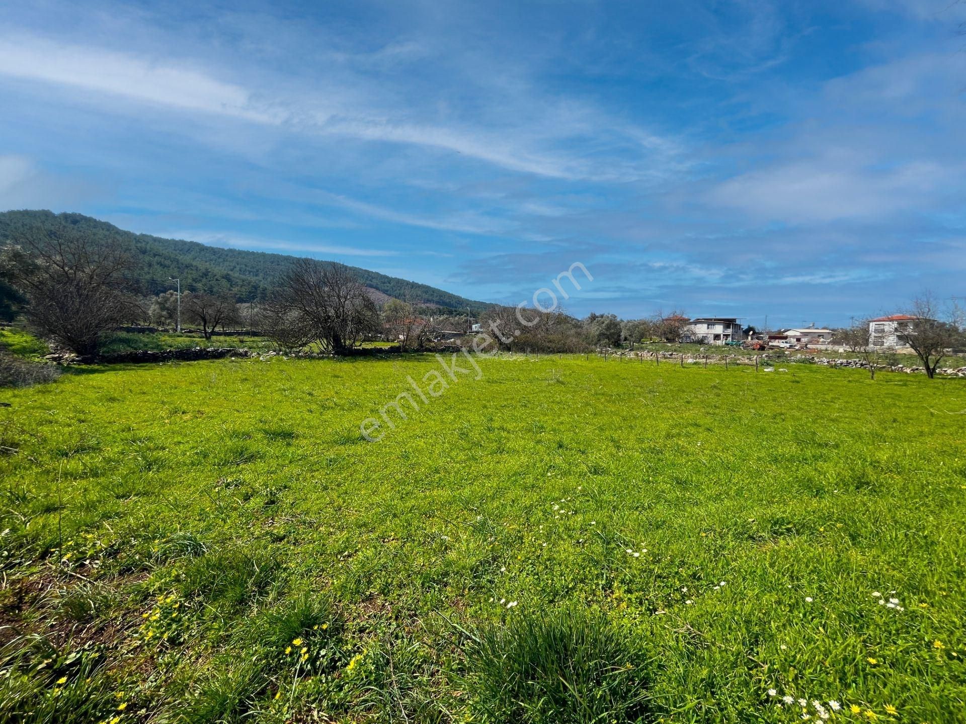 Milas Kızılağaç'ta Satılık 1132 M² Konut İmarlı Arsa - Görsel 14