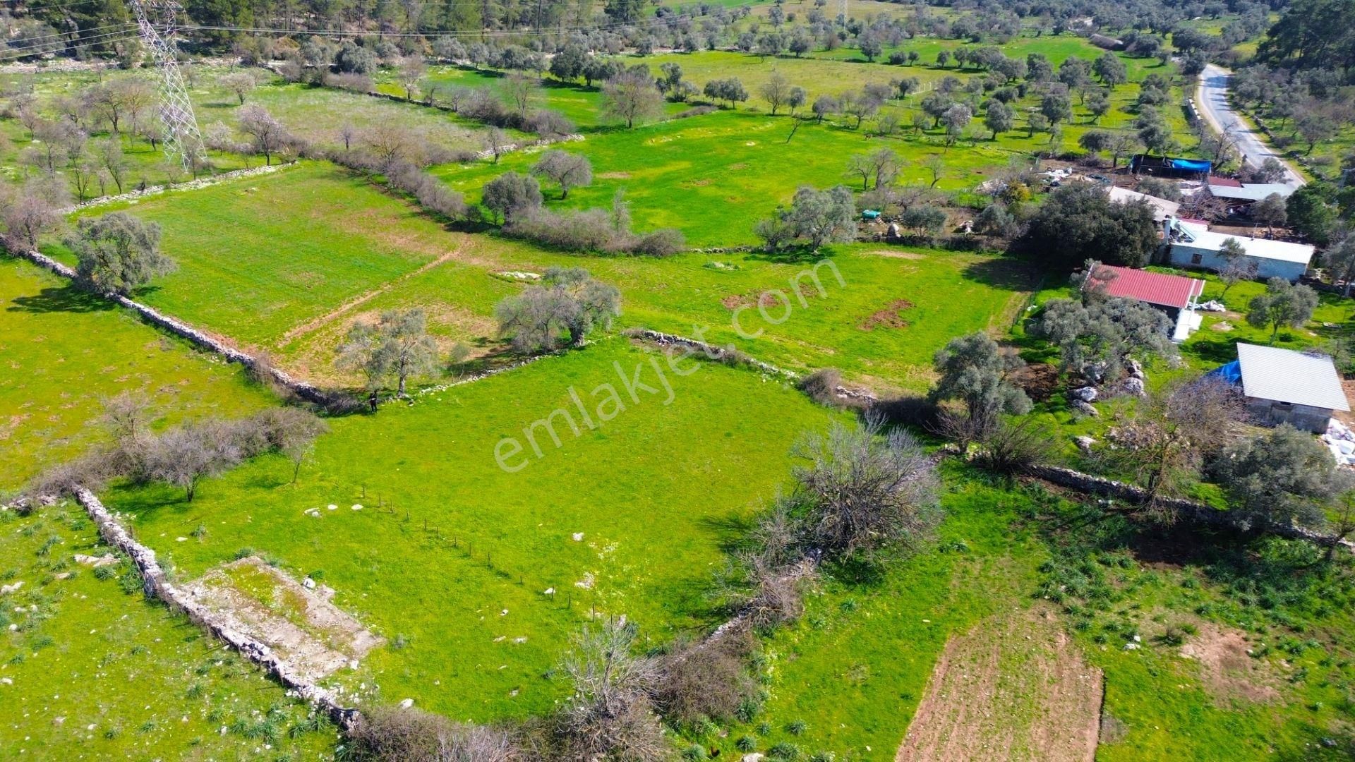 Milas Kızılağaç'ta Satılık 1132 M² Konut İmarlı Arsa - Görsel 5