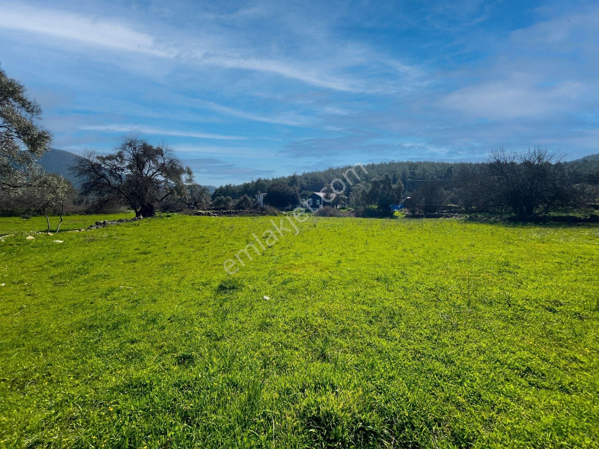 Milas Kızılağaç'ta Satılık 1132 M² Konut İmarlı Arsa - Görsel 16