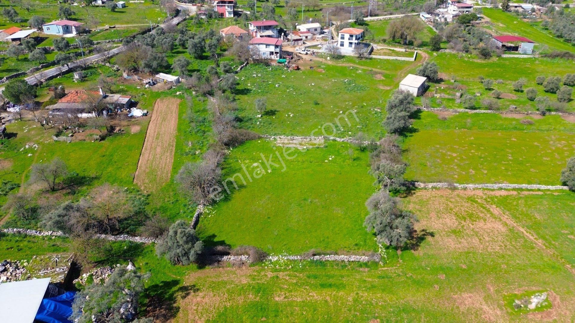 Milas Kızılağaç'ta Satılık 1132 M² Konut İmarlı Arsa - Görsel 8