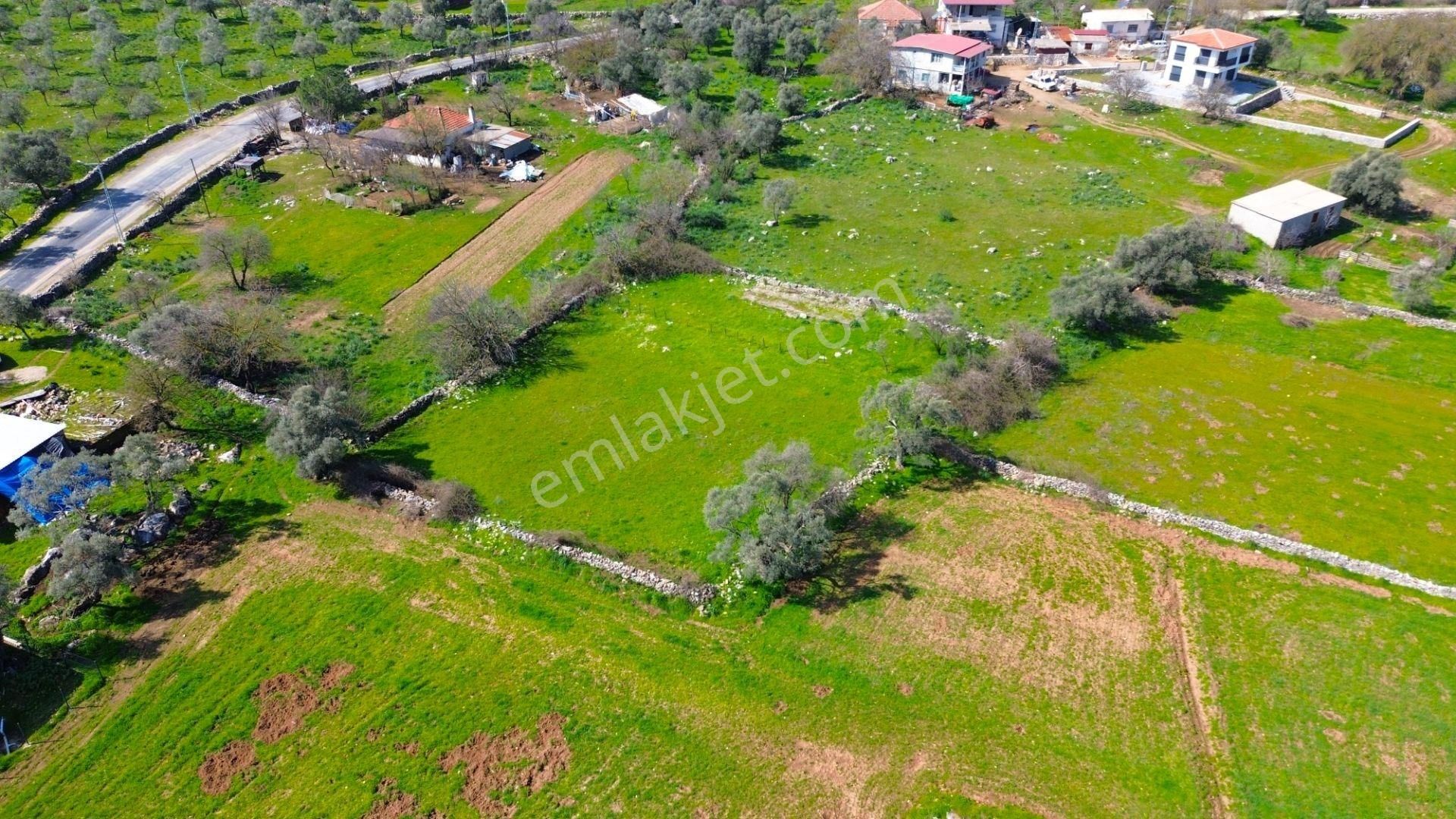 Milas Kızılağaç'ta Satılık 1132 M² Konut İmarlı Arsa - Görsel 9